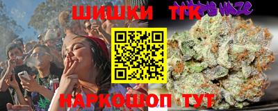 шишки Гусиноозёрск