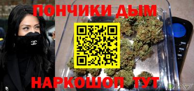 шишки Гусиноозёрск