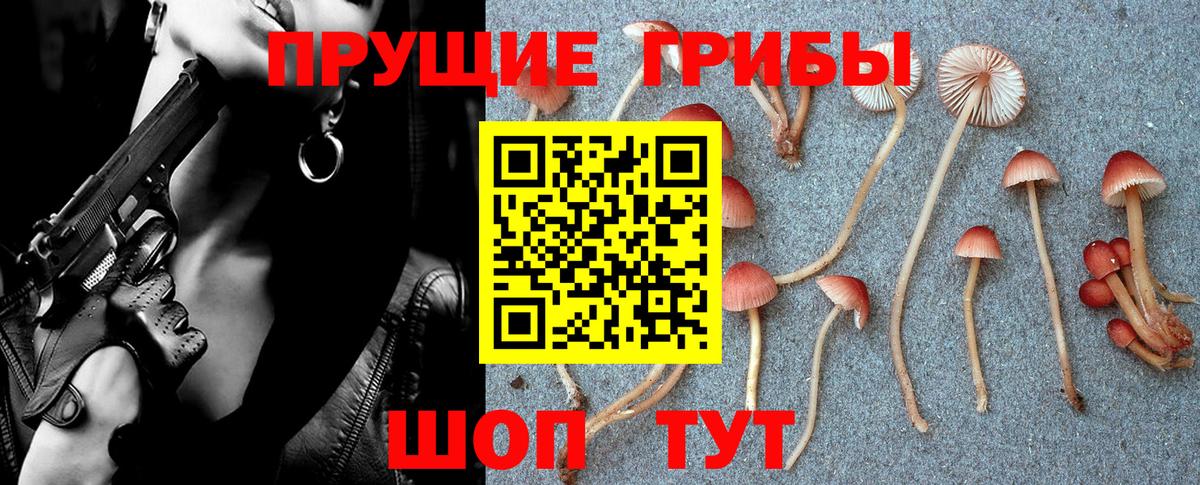 Галлюциногенные грибы GOLDEN TEACHER  Псилоцибиновые грибы MAGIC MUSHROOMS  Можга  Вход с VPN 