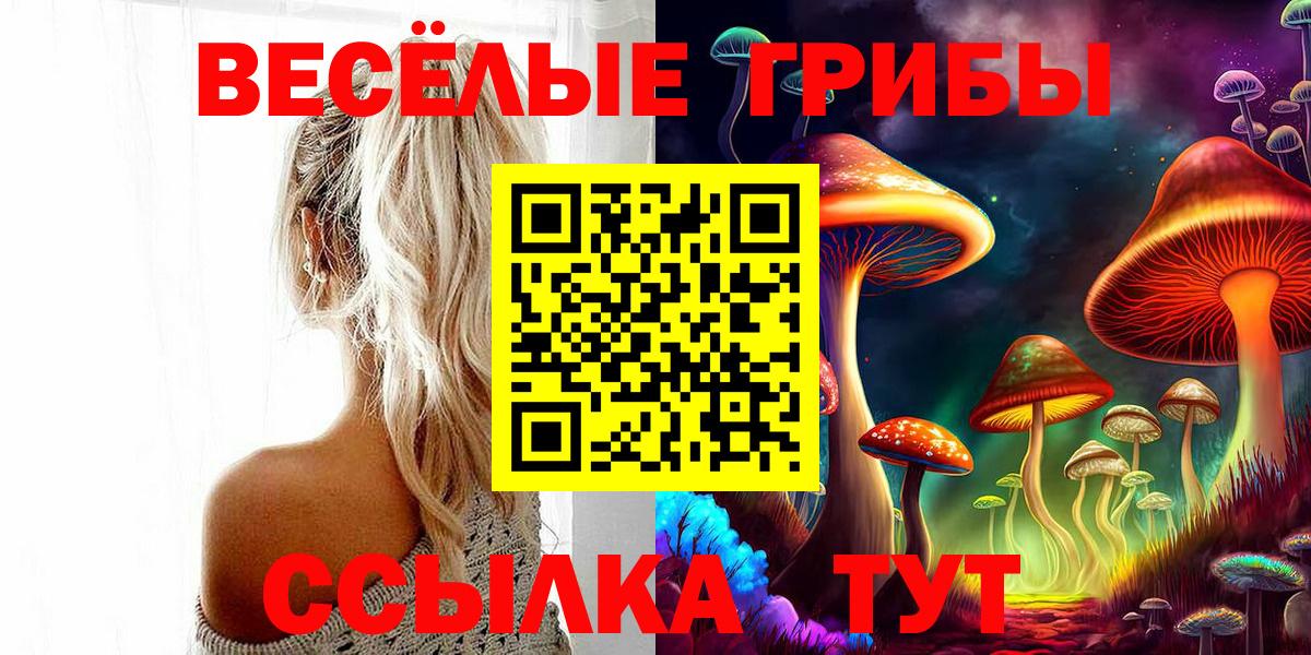 Галлюциногенные грибы ЛСД Можга