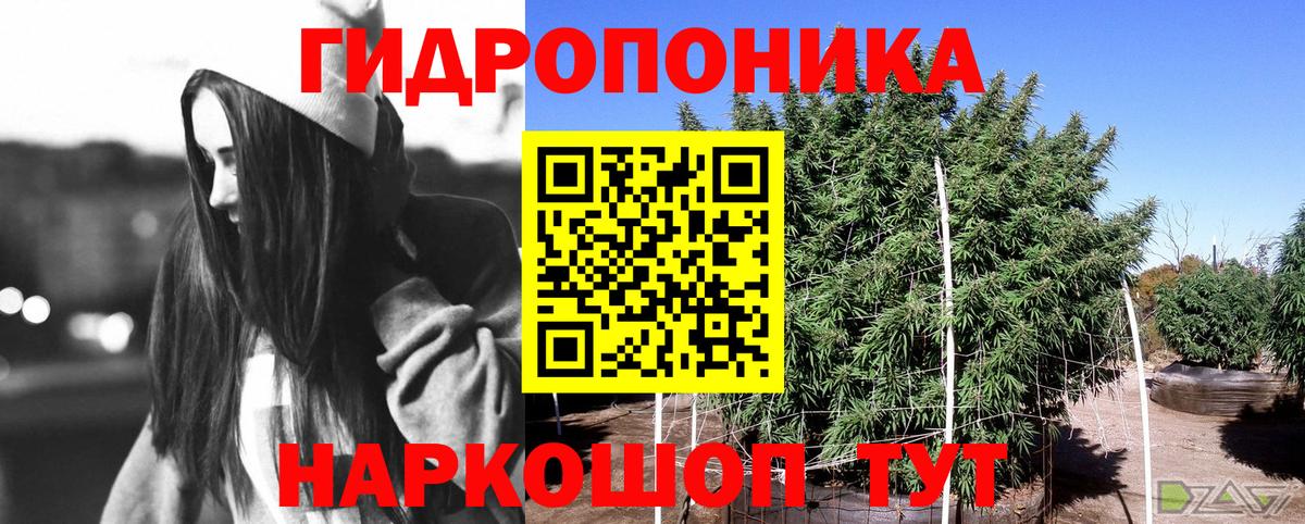 Каннабис план  Каннабис конопля  Можга  Вход с VPN  Канабис AK-47 